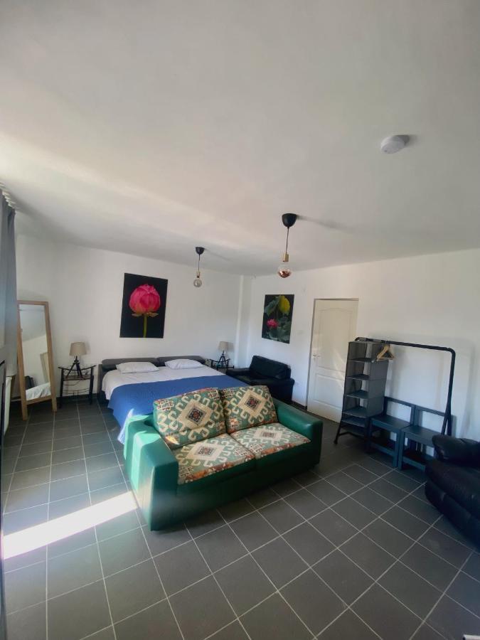 Ferienhaus River House - Luxury House On The Border Of The Tisza River Arokto